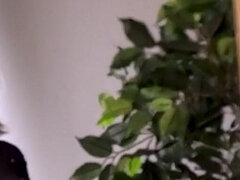 The Tempting Mirror - Watch Yourself Obey