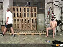 Grosser schwanz, Schwul