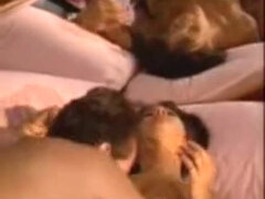 Ázsiai, Cumizás, Gesztenyebarna, Csókolózás, Természetes mellek, Begyek, Régebbi évjáratú pornó