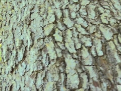 Help From A Friend 1