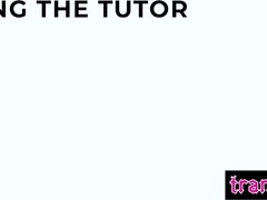 Anális szex, Monumentális dákó, Tekintélyes didik, Cumizás, Pénisz, Kőkemény, Nézőpont, Nőférfi