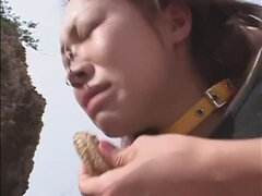 Bdsm, Strand, Store pupper, Dildoen, Japaner, Utendørs, Leker