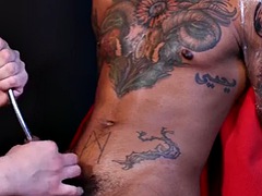 Μεγάλος πούτσος, Μπαισέξουαλ, Χύσιμο, Συμπαθητική, Μαλακία με το δάχτυλο για γυναίκες, Ομοφυλόφιλος, Θηλές, Τατουάζ