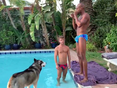 Dicks and rears of friends belong together