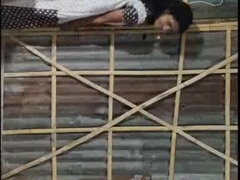 흑갈색 머리, 하드코어, Hd, 인도인