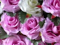 Desi babe Rockylagabe gets down in a Bangladeshi village bathroom