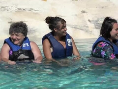 Жопа, Черные, Минет, Брюнетки, Дрочка ногами, От первого лица, Бритые, Сиськи