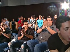 Amatéri, Kuřba, Fetiš, Gay, Skupina, Párty, Na verejnosti, Realita