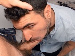 Gesztenyebarna, Maszti, Tetkó