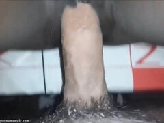 Pik sutte, Brunette, Sort, Hjemmelavet, Imellem racer, Mor jeg gerne vil kneppe, Pov, Bryster