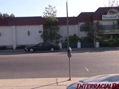 엉덩이, 큰 엉덩이, 큰 음경, 큰 가슴, 흑인, 금발의, 가슴이 큰, 다른 인종간의