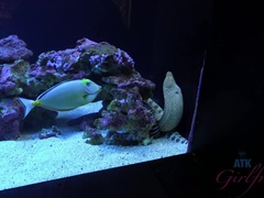 Amatőr, Szőke, Szőrös, Orgazmus, Szabadban, Nézőpont, Nuni, Begyek