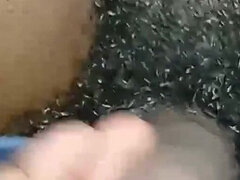 Amatööri, Karvainen, Intialainen