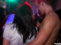 Velké péro, Velké kozy, Brýle, Hardcore, Mezirasové, Párty, Seřezání, Swingers