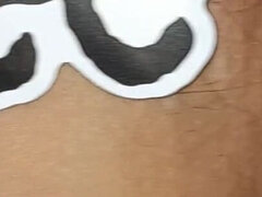 Vlasatej, Pička, Švajčiarskej