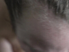 Introducing Anastasia