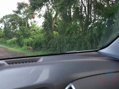 Blond, Pijpbeurt, Sperma, Flashing, Openbaar, Tieten likken, Bekijker, Nat