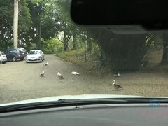 Kuřba, Brunetka, Šaty, Footjob, Přítelkyně, Honění, Latinské, Pička