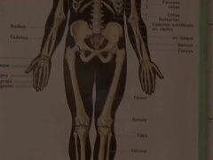 Docs Pussy Examination At The Anal Clinic Makes Babe Tiffany Doll Orgasm