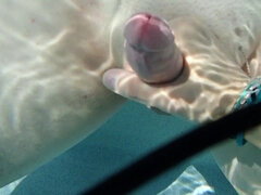 Amatør, Brunette, Fanget, Håndjob, Hårdt, Onani, Mor jeg gerne vil kneppe, Snugkigger