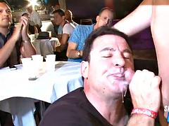 Amador amadora, Gay bicha veado, Grupo, Festa, Público, Realidade