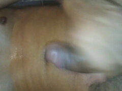 Τουαλέτα, Μεγάλος πούτσος, Ο μπαμπάς, Φετιχ, Μαλακία, Σπιτικό, Αυνανισμός, Μόνος