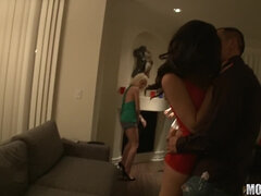 Kotě, Blondýna, Kuřba, Péro, Na pejska, Skupina, Hardcore, Pička