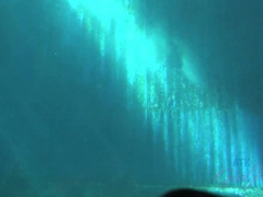 Røv, Strand, Bikini, Kæreste, Lille kvinde, Barberet, Bad, Bryster