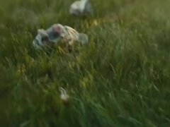 Sasha Grey - American Honey (2016) Sex Scenes