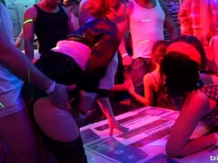 Duże cycki, Obciąganie, Hardcore, Wielorasowy, Lesbijka, Orgia, Strona, Mokry