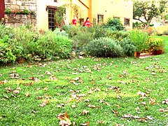 Красивые, Постарше, Хд, Поцелуи, Лесбиянка, Милф, Киски, Молоденькие