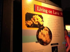 Amatör, Blondin, Orgasm, Utomhus, Fitta, Mager, Sprutande, Tuttar