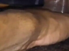 Par, Očka, Lutka, Domaci pornič, Samozadovoljevanje