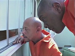 Grande cazzo, Nero, Bionda, Doppia penetrazione, Di colore, Gruppo