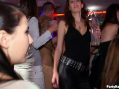 Brunetka, V oblečení, Tanec, Na psíka, Žena, Okuliare, Skupina, Hardcore