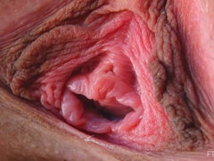 Detailní, Tanec, Extrémní, Masturbace, Orgasmus, Sólo, Hračky