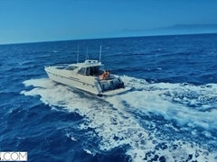 Suihinotto, Kermakakku, Rankka, Selkäsauna, Orgiat, Pillu, Ratsastaa, Squirting