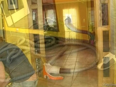 Bionda, Vestite, Nudo, Pisciando, Raso, Doccia, Calze