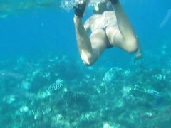 Τουαλέτα, Πίπα, Χύσιμο, Μαλακία με το δάχτυλο για γυναίκες, Η κοπέλα μου, Λατίνα, Μουνί, Στρώνουν