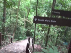 Amatorka, Łazienka, Brunetka, Palcówka, Masturbacja, Punkt widzenia, Cipka, Cycki