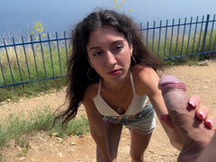 Любители, Минет, Семяизвержение, Эксгибиционист, От первого лица, На публике, Молоденькие, Сиськи