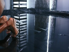 Velike joške, Doggystyle, Hardcore, Pete, Medrasni seks, Transa, Tetovaže, Joške