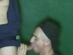 69, Anál, Creampie, Spermie v puse, Prstovanie, Masturbácia, Jazdectvo