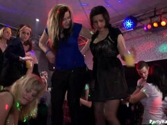 Leie, Grosser schwanz, Schwarz, Tanzen, Gruppe, Lingerie, Party, Strümpfe