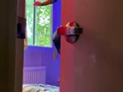 Amatőr, Kisbaba, Monumentális dákó, Kézimunka, Kőkemény, Nőférfi