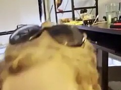 Любители, Красотки, Минет, Британки, Колледж, Рыжие, Тощие, Сиськи