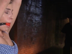 Suspended BDSM babe gagged with dildo