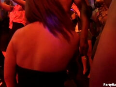 What Happens At The Party, Stays At The Party - Group Fucking love making