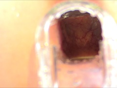 New Kind Of Extreme 2