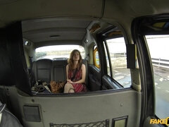 Τσέχα, Μαλακία, Γλείψιμο, Λεφτά, Εκτός, Πραγματικότητα, Χτύπημα, Στρώνουν